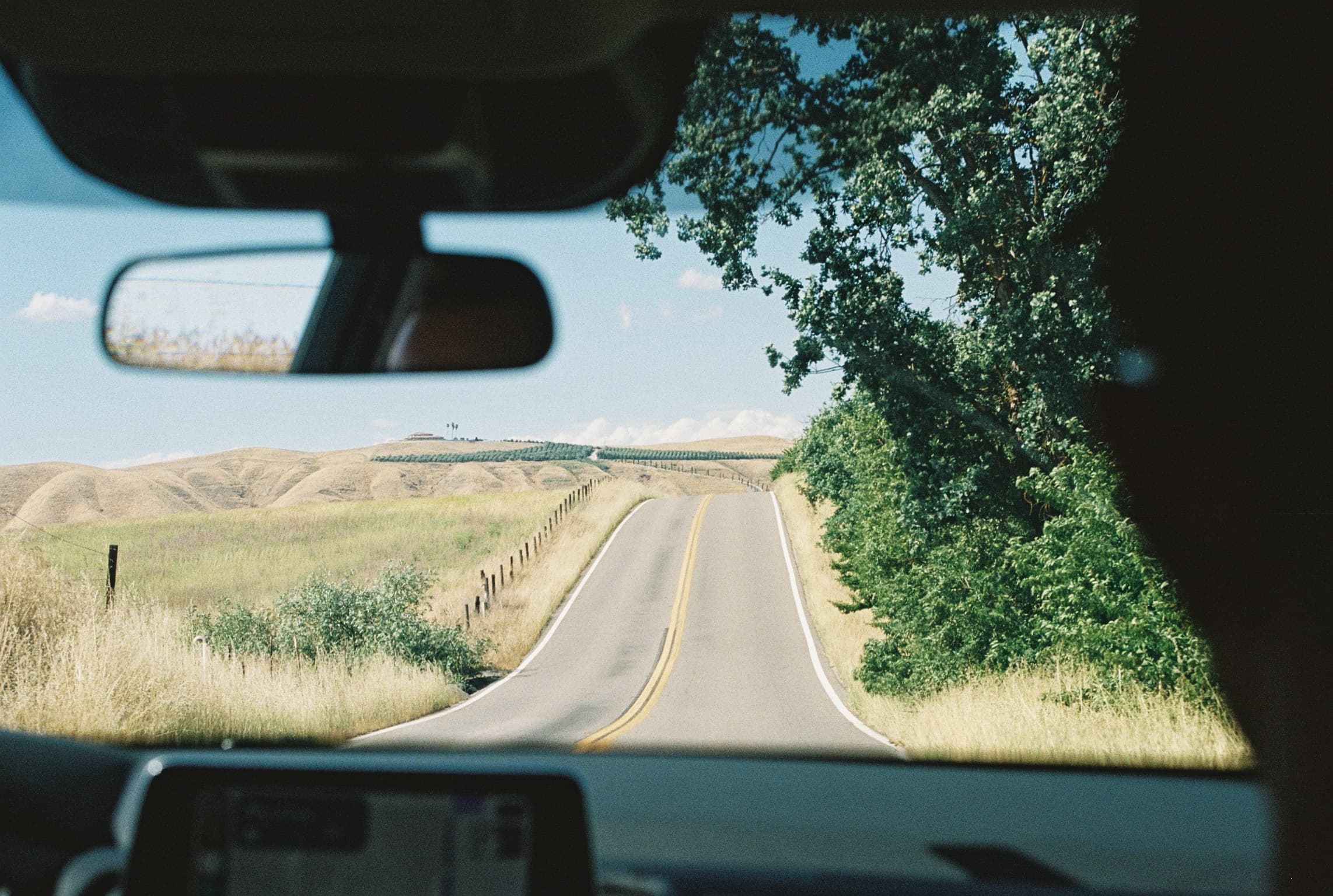 Analog photograph by Jakob — Canon AV-1, California 2026