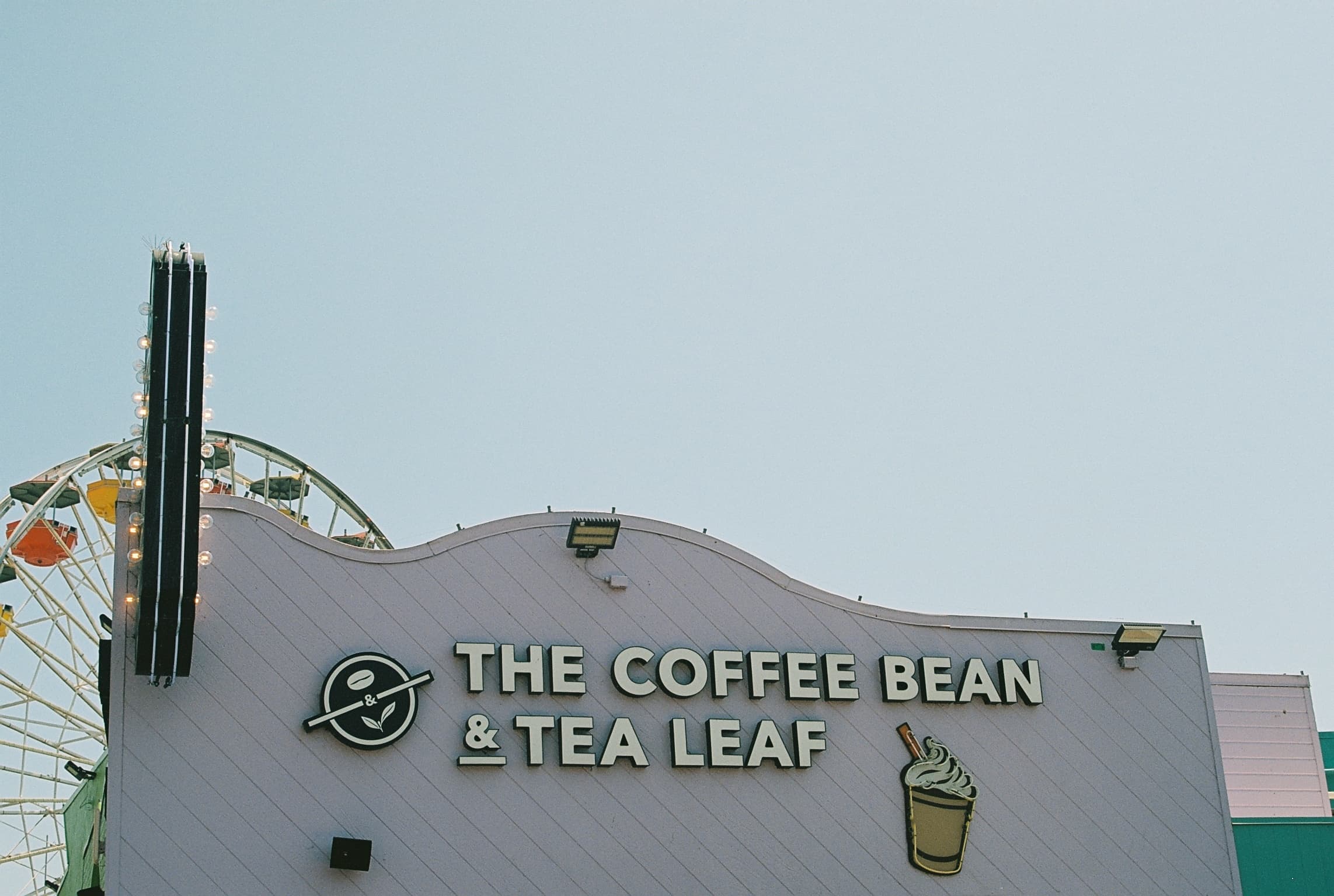 Analog photograph by Jakob — Canon AV-1, California 2026