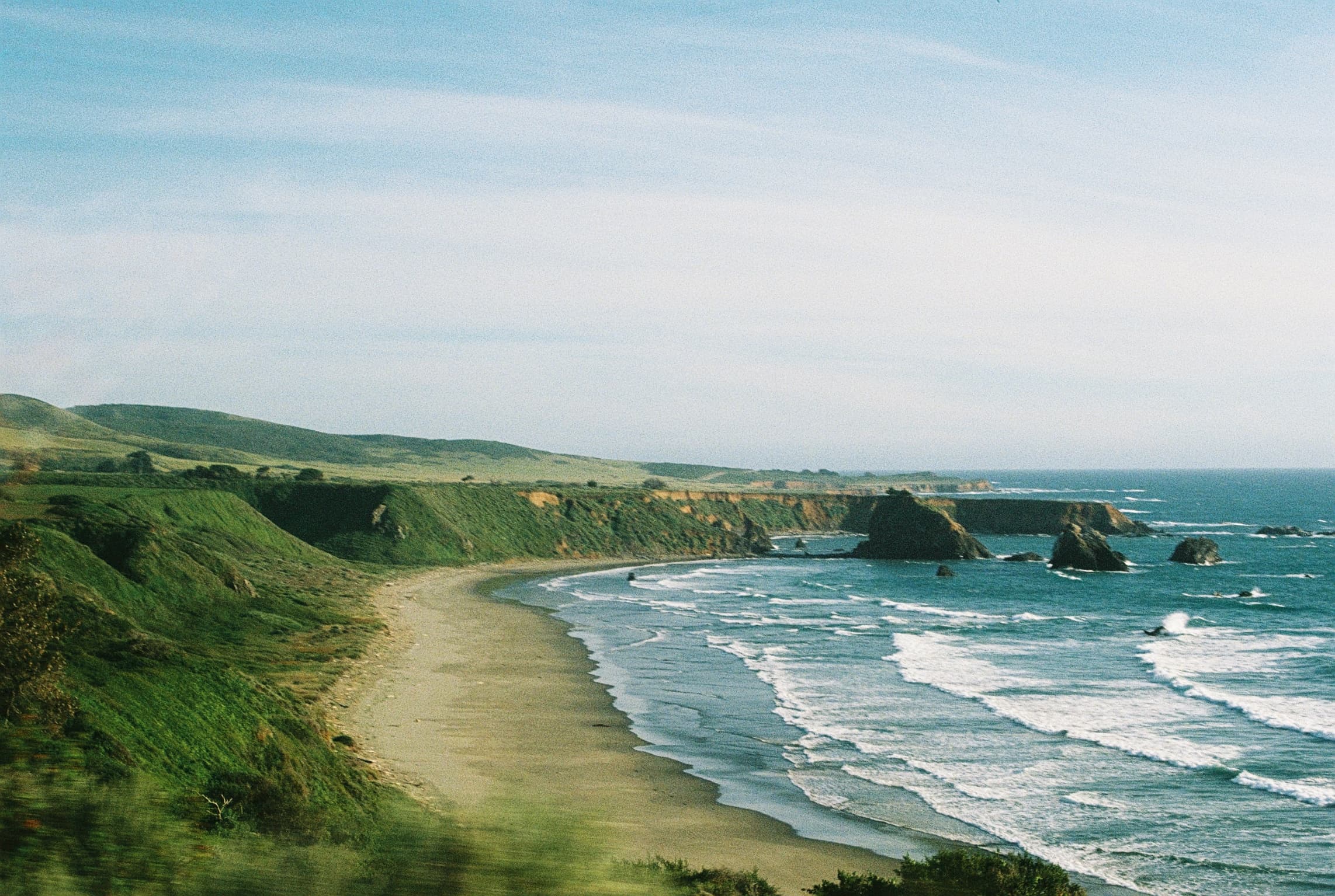 Analog photograph by Jakob — Canon AV-1, California 2026